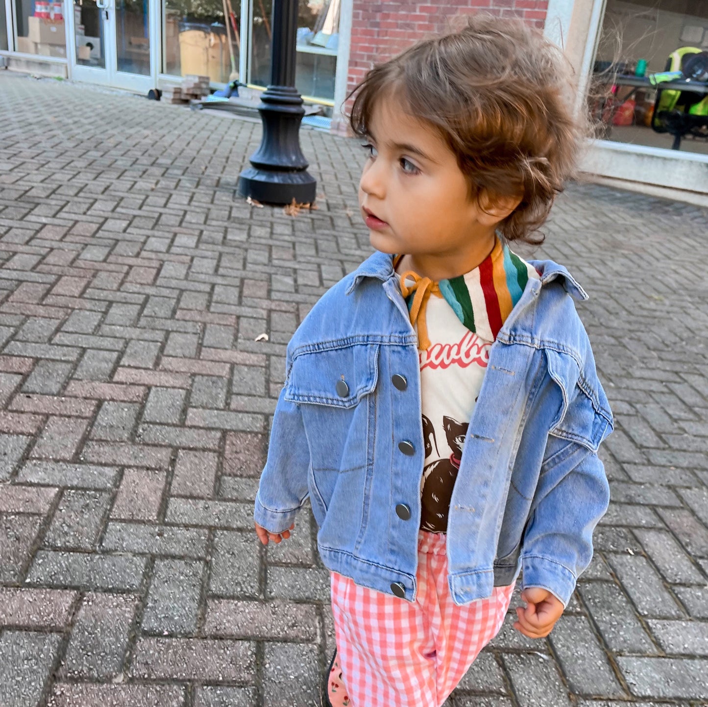 Rainbow Striped Knit Collar