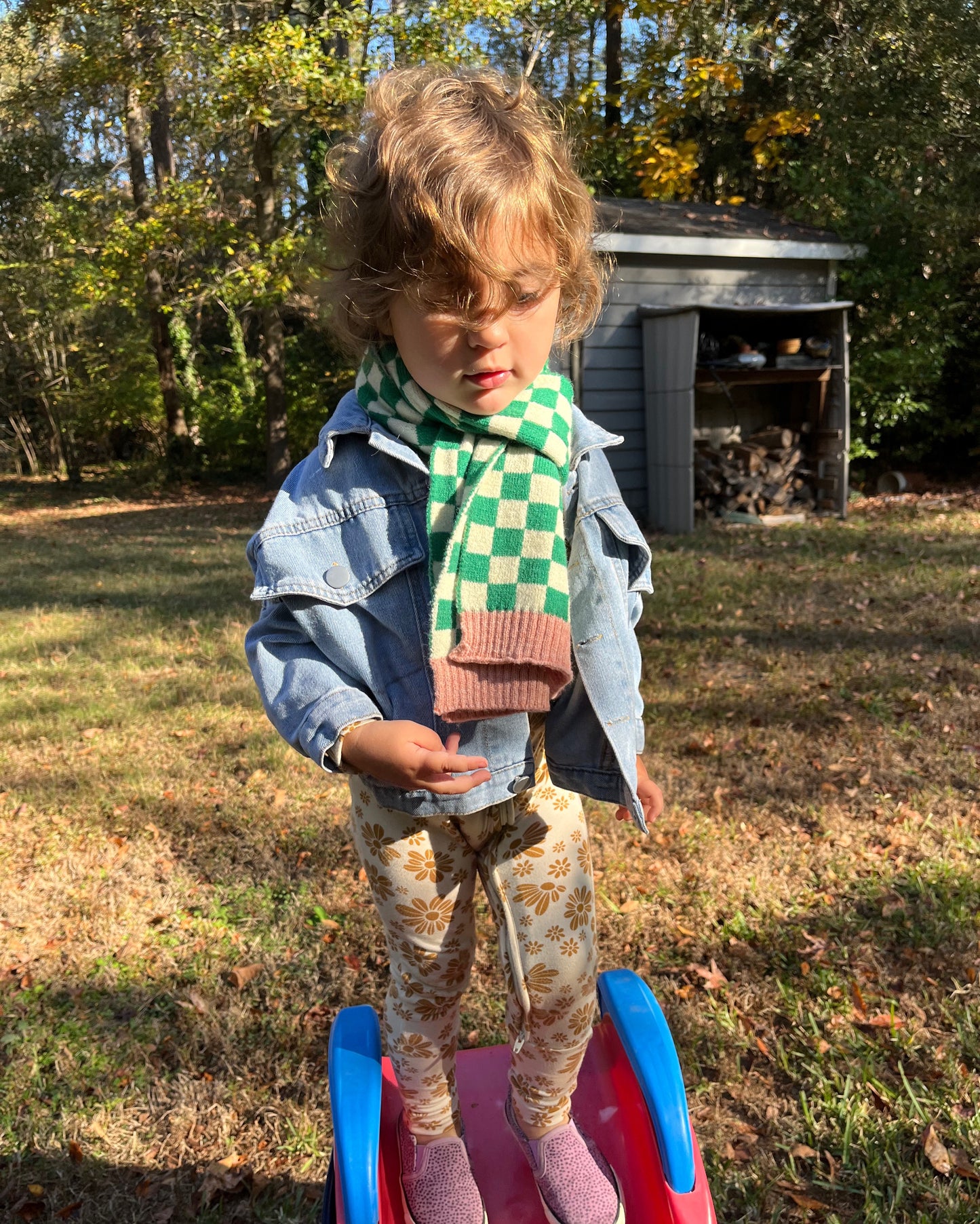 Checker Scarf - Green and White