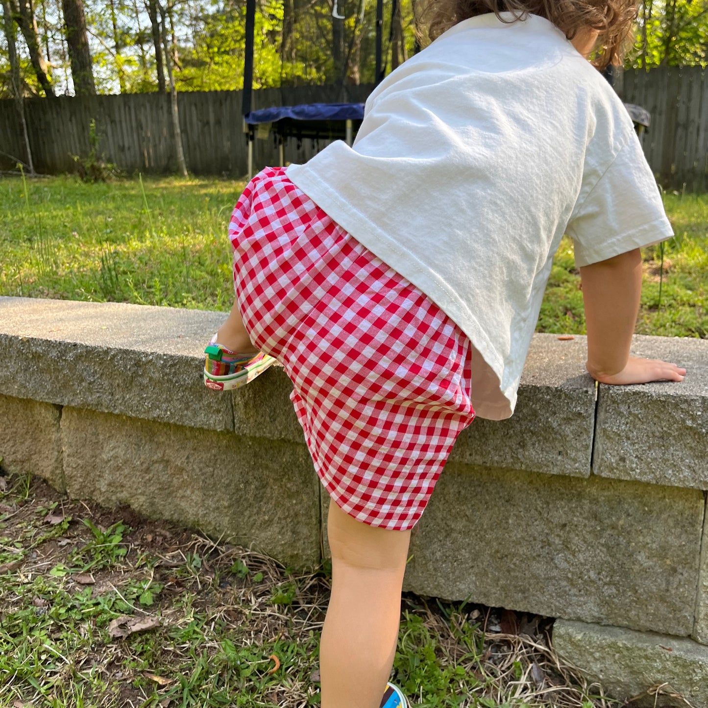 Field Day Shorts