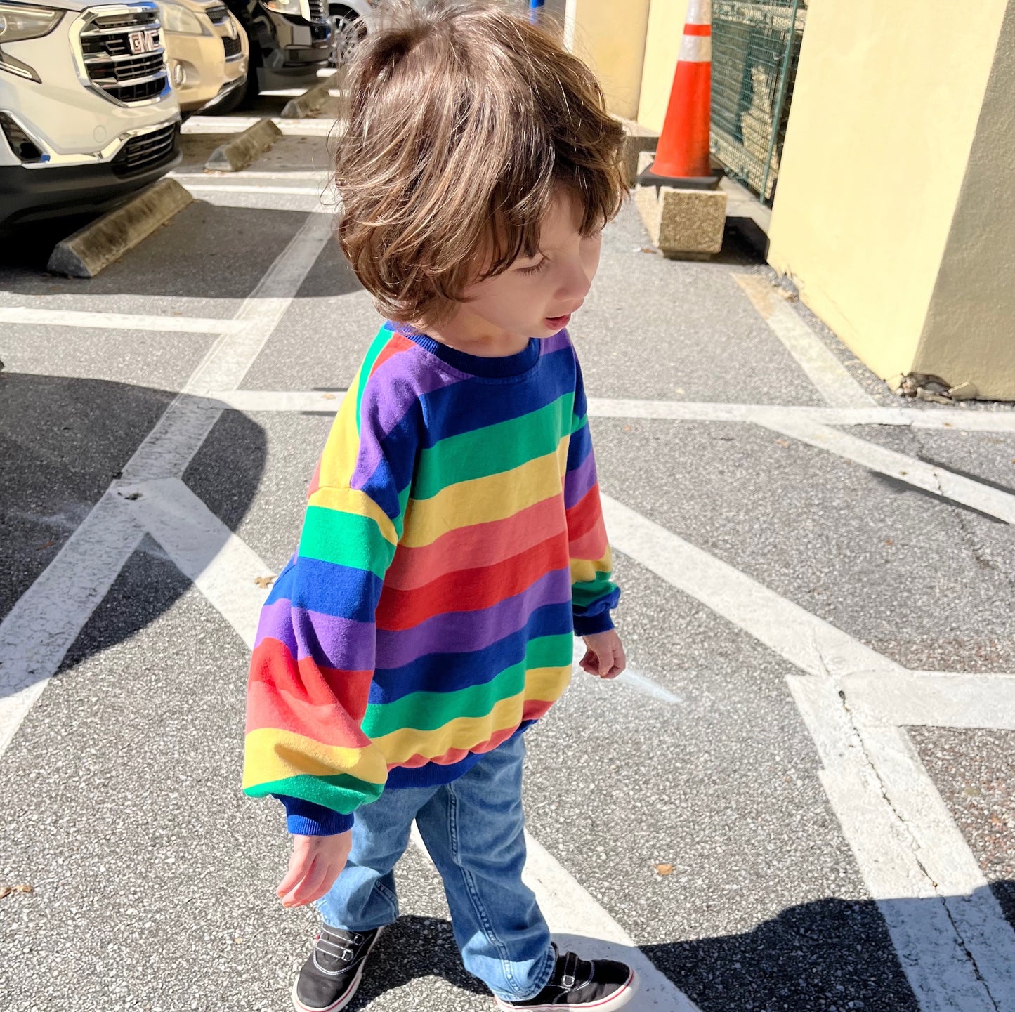 Rainbow Striped Sweatshirt