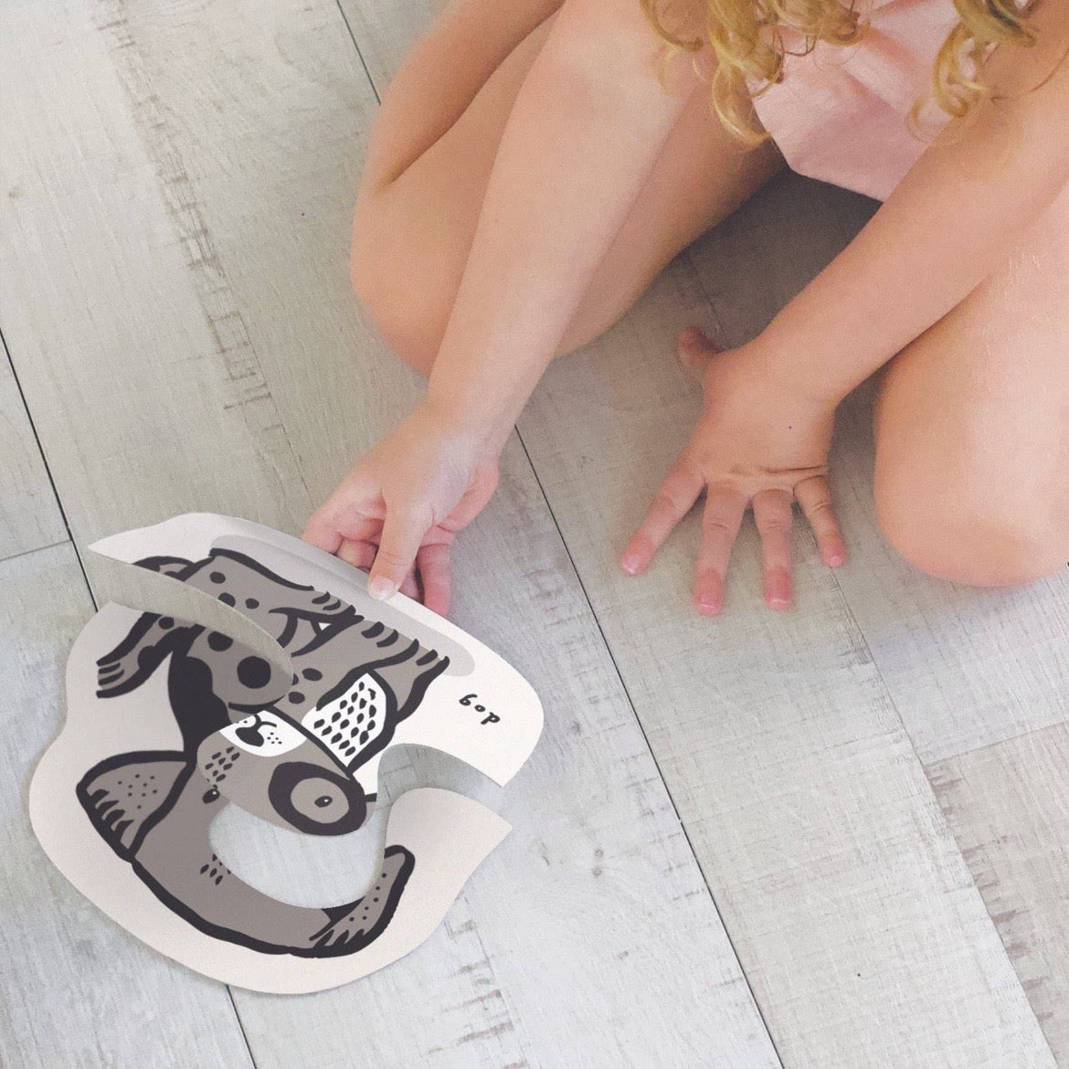 Pets Beginner Puzzle