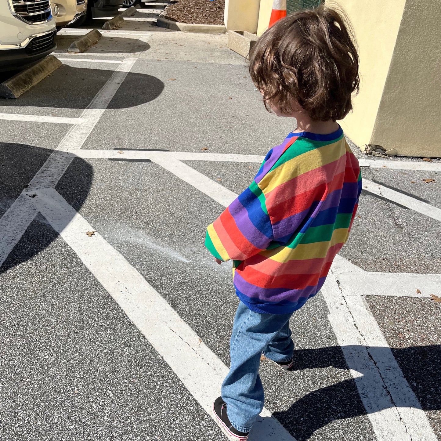 Rainbow Striped Sweatshirt