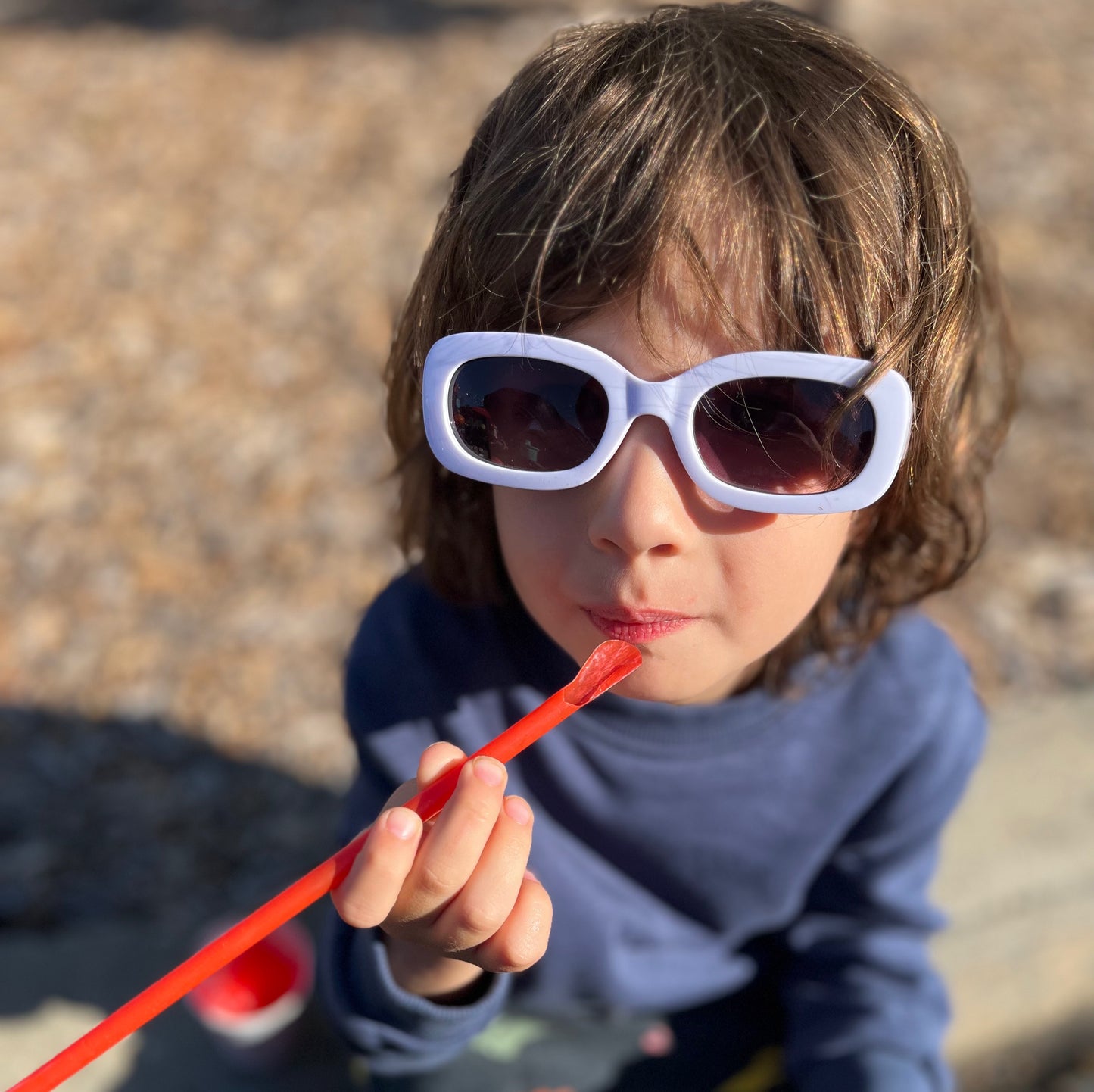 Desert Palm Sunglasses